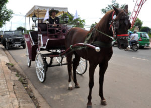 Nằm mơ thấy xe ngựa đánh số gì Nằm mơ thấy xe ngựa đánh số gì